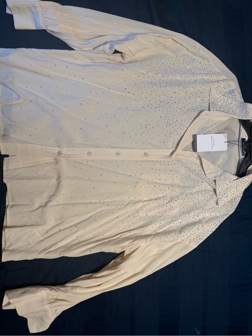 Anastasia Cream Rhinestone-Embellished Button-Up Blouse